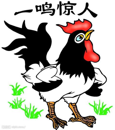 中國數字4 為什麼公雞早上會叫